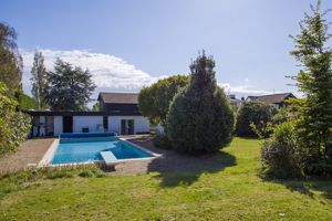 Photo 31- click for photo gallery